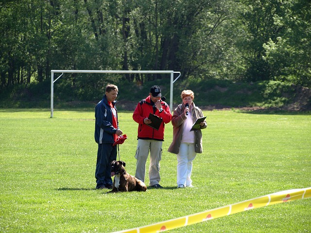 www.atibox.net * www.euroboxer.eu * www.boxergenealogia.eu